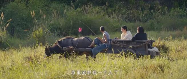 《欢颜》张译终于露面，一时间也引发热议不断