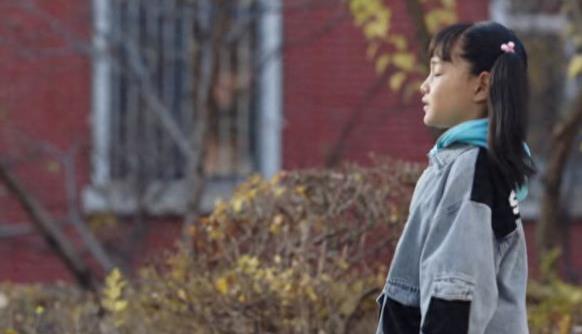 《父辈的荣耀》爱与利益之间：凤霞与顾兆成的婚姻演绎