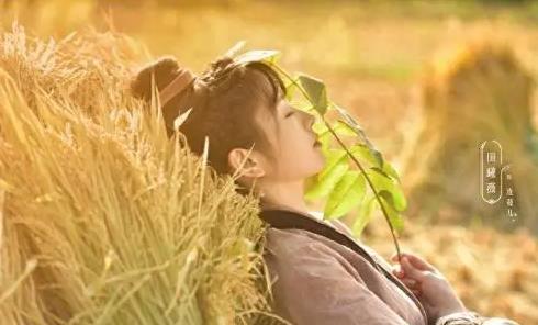 《田耕纪》带来田园风光和浪漫恋爱