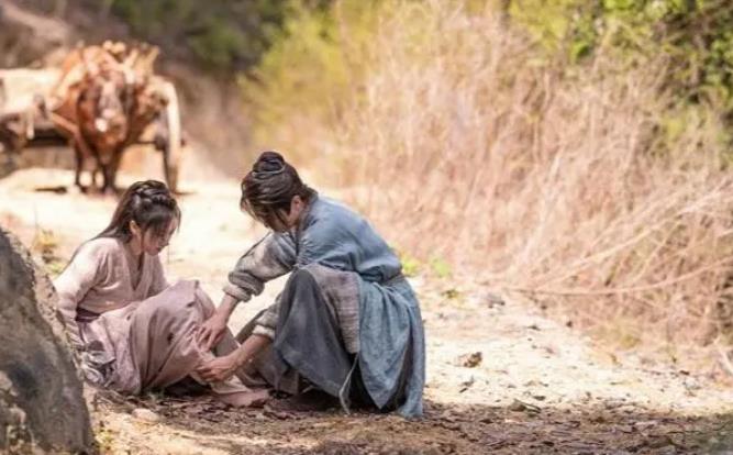 央视政法大剧《此心安处是吾乡》遭用户评价分化，影视阵容无悬念