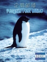 企鹅邮局
