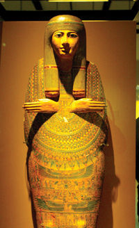 木乃伊女士的诅咒