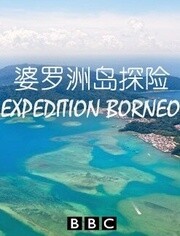 BBC:婆罗洲岛探险